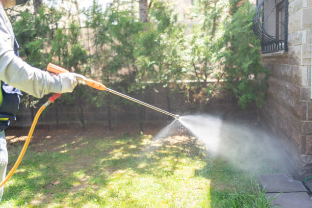 Best Insect Control  in Taft Mosswood, CA