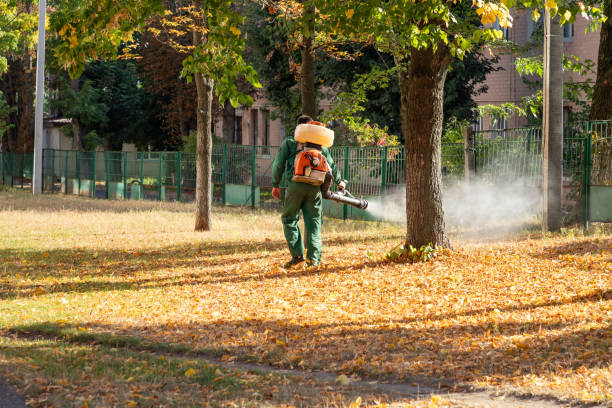 Best Exterminator Services  in Taft Mosswood, CA