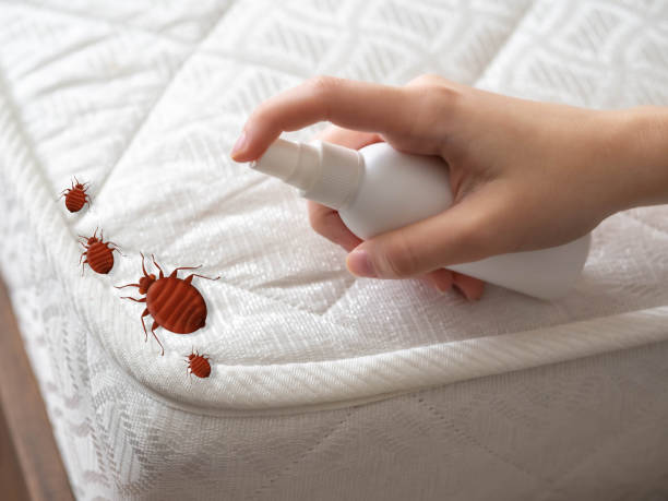 Best Commercial Pest Control Services  in Taft Mosswood, CA